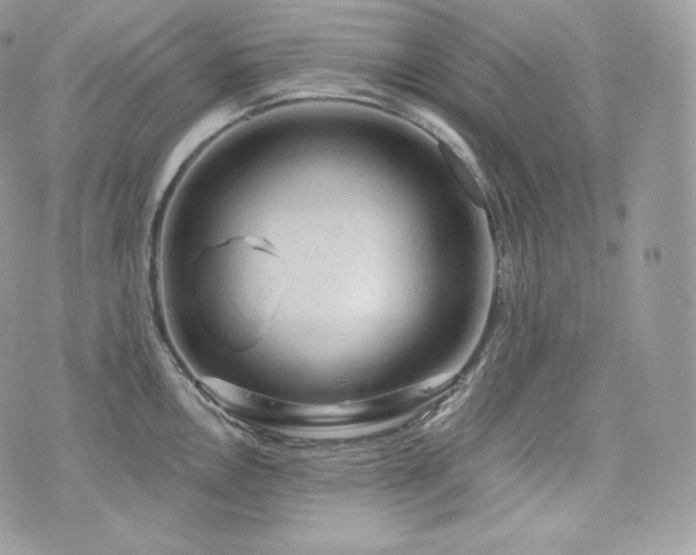 X0000076301146200609291029