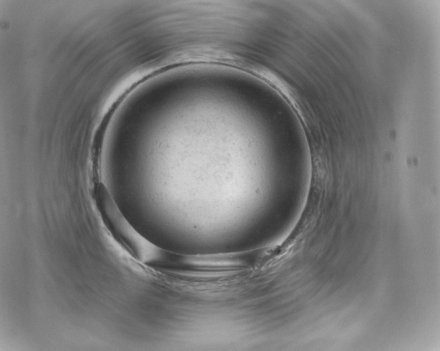 X0000076301147200609291029