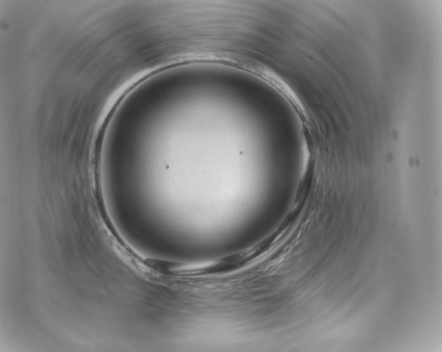 X0000076301148200609291029