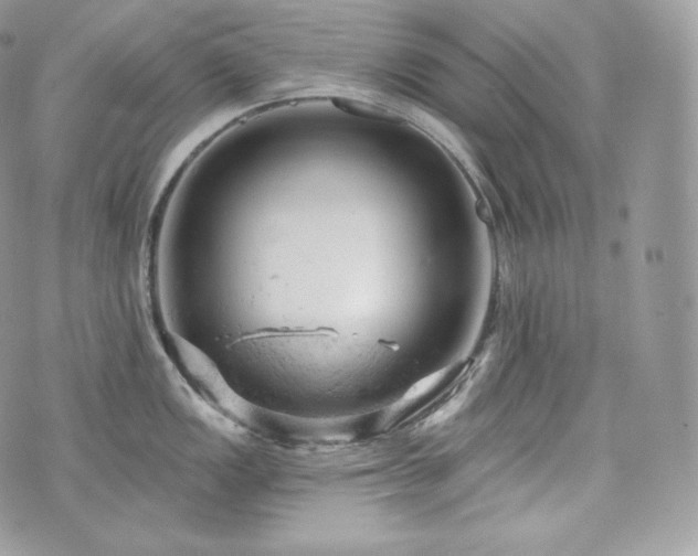 X0000076301149200609291029