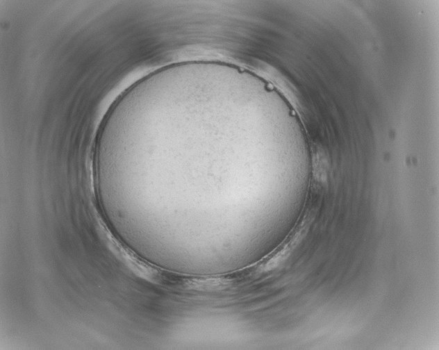 X0000076301150200609291029