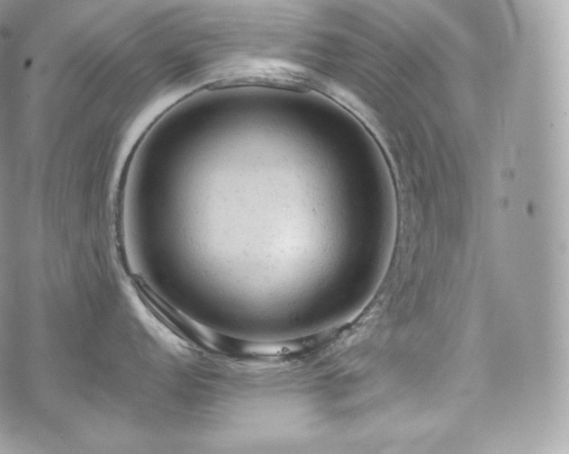 X0000076301152200609291029