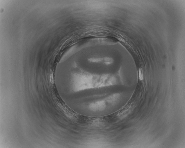 X0000076301155200609291028