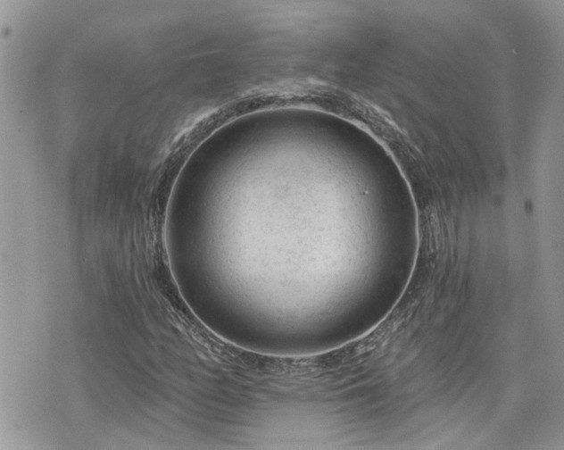 X0000076301158200609291028