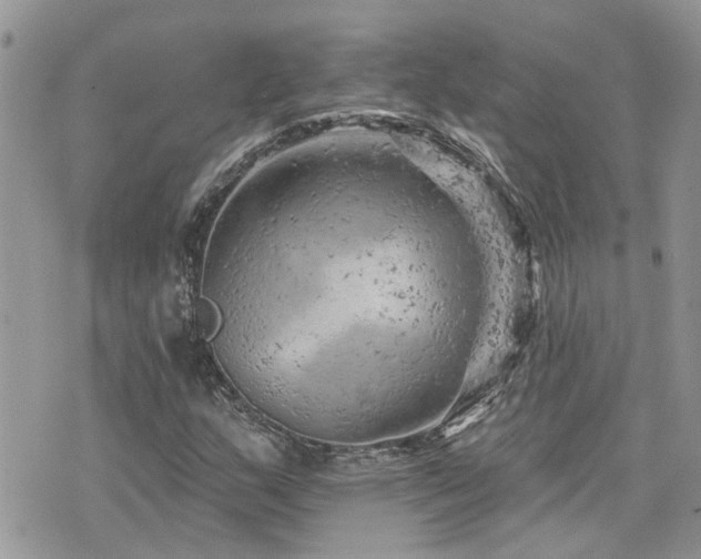 X0000076301159200609291028