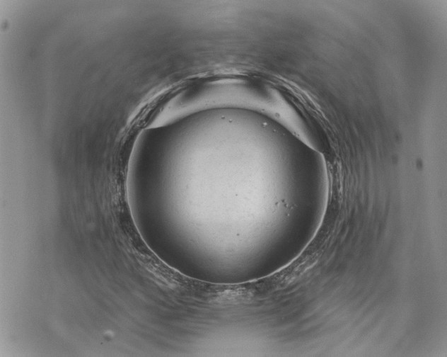 X0000076301160200609291028