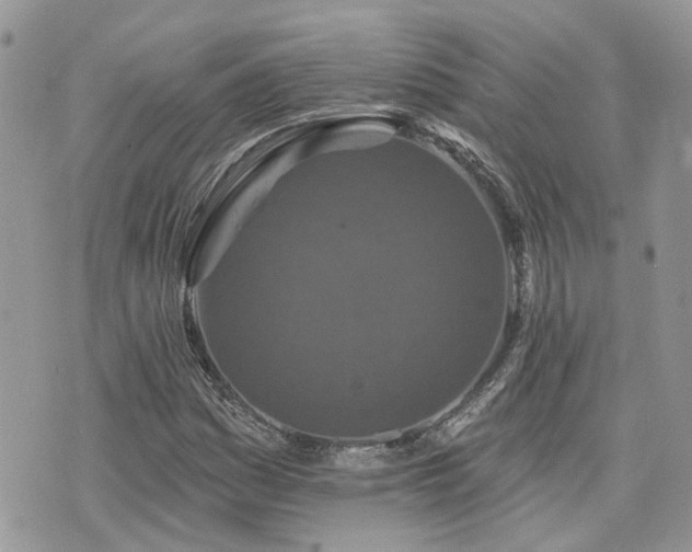 X0000076301161200609291028