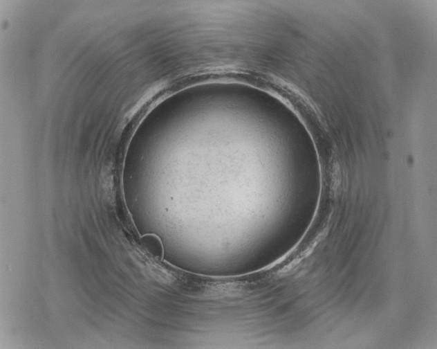 X0000076301162200609291028