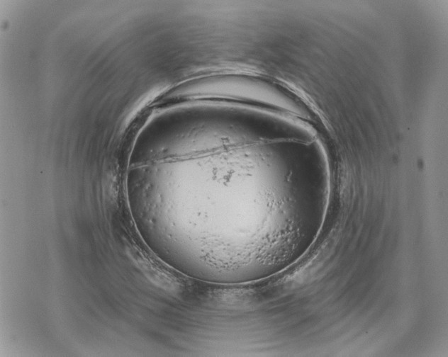 X0000076301163200609291028