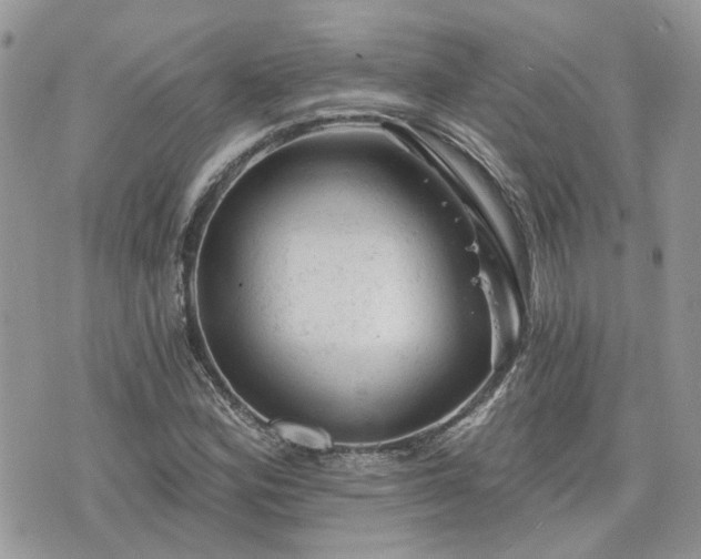 X0000076301164200609291028