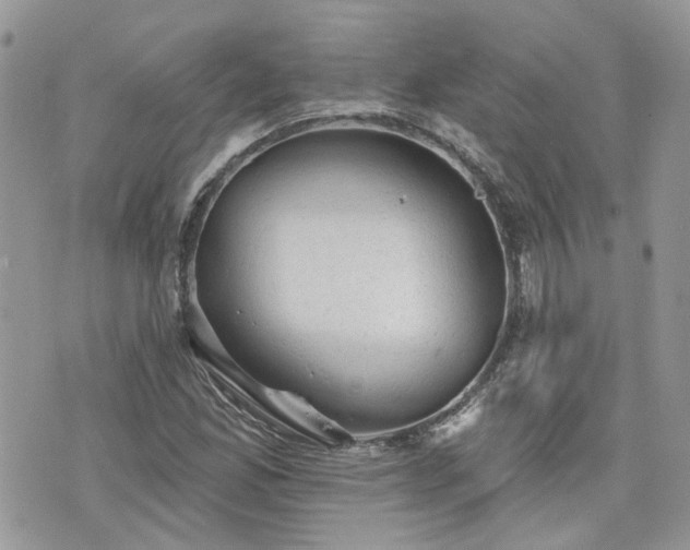 X0000076301165200609291028