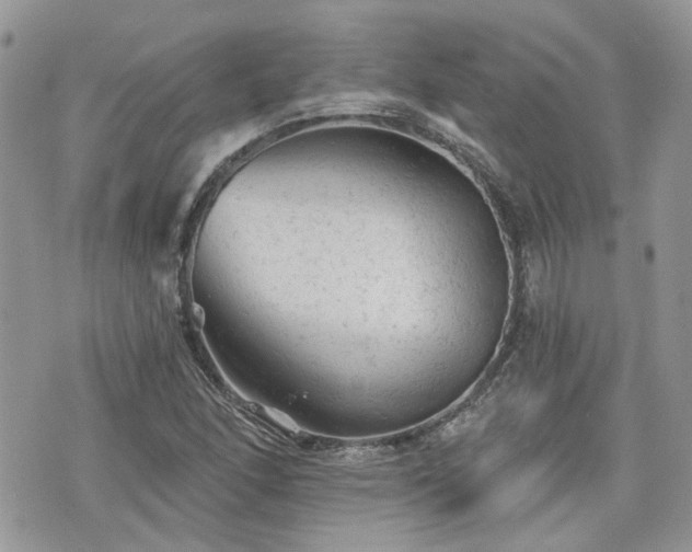 X0000076301166200609291028