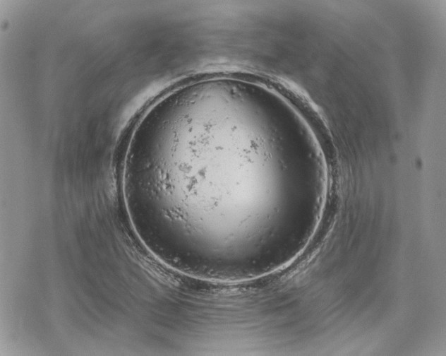 X0000076301167200609291028