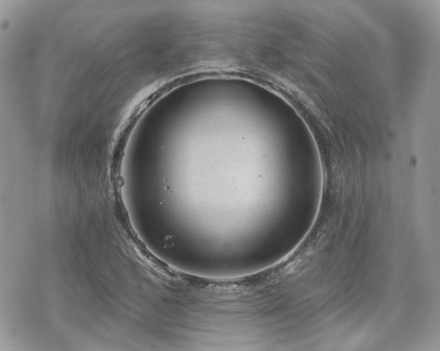 X0000076301168200609291028