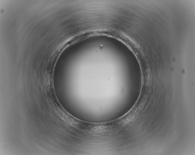 X0000076301169200609291028