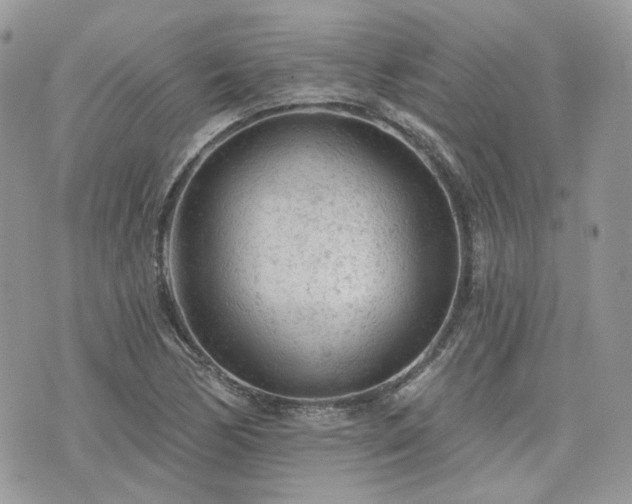 X0000076301170200609291028