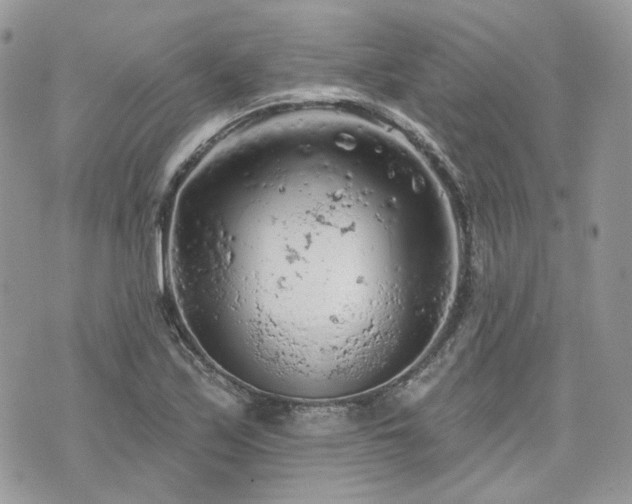 X0000076301171200609291028