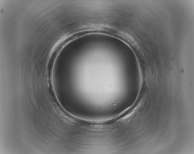 X0000076301172200609291028