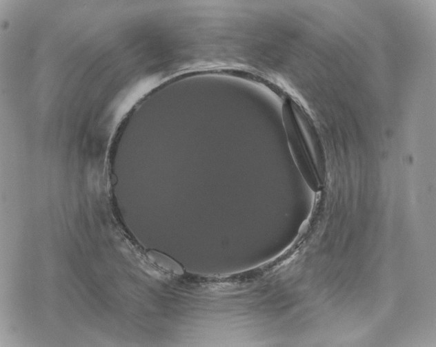 X0000076301173200609291028