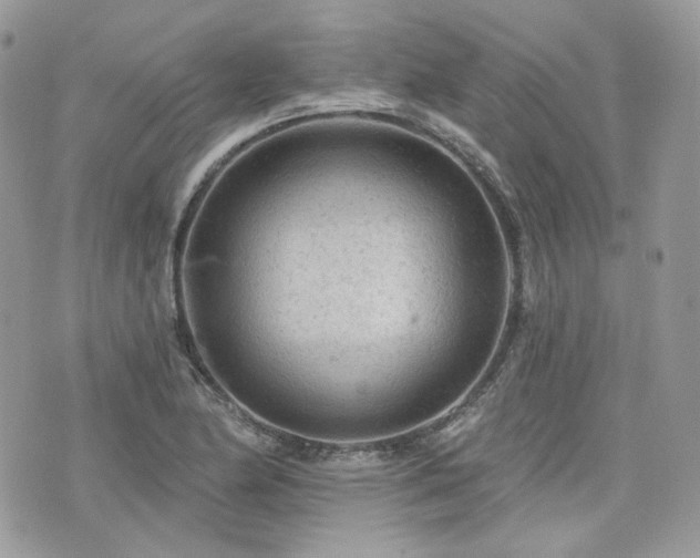 X0000076301174200609291028