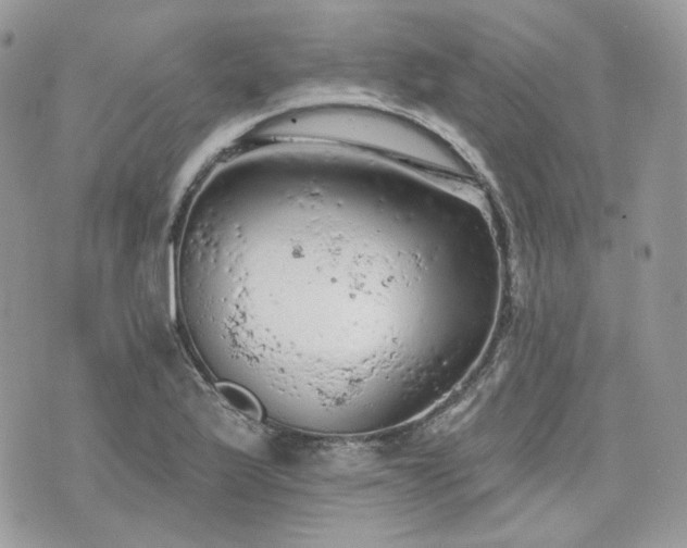 X0000076301175200609291028