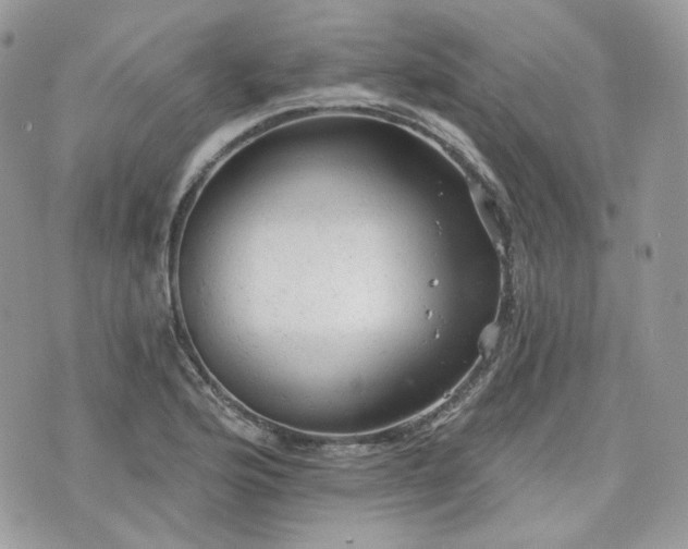 X0000076301176200609291028