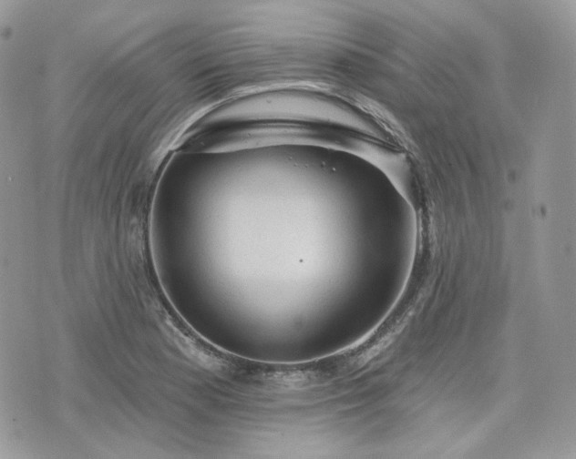 X0000076301177200609291028