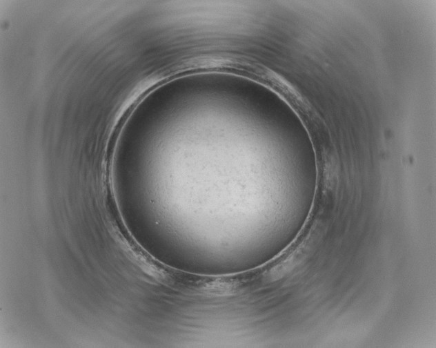 X0000076301178200609291028