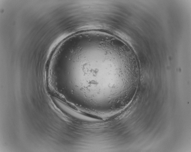 X0000076301179200609291028