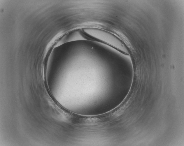 X0000076301180200609291028