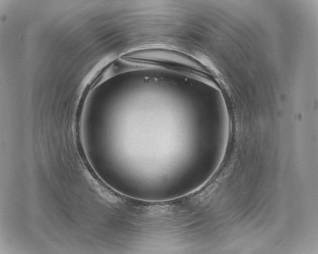 X0000076301181200609291028