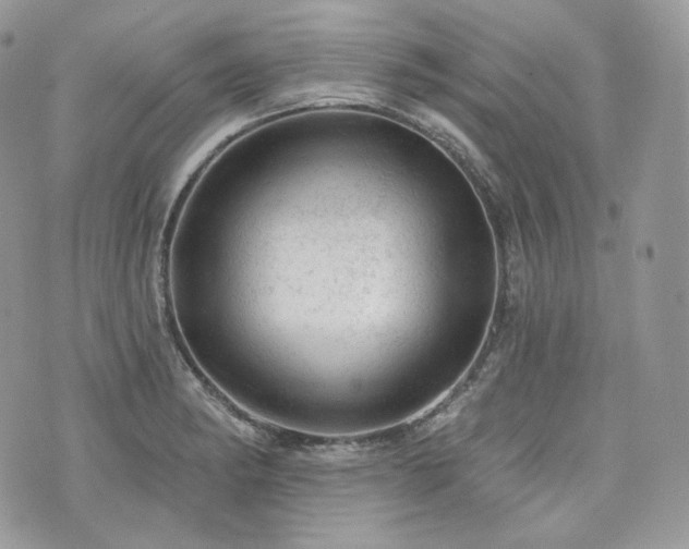 X0000076301182200609291028