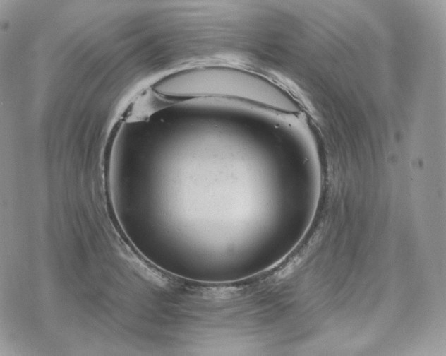 X0000076301184200609291028