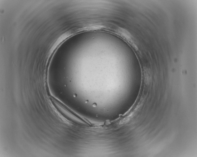 X0000076301186200609291028