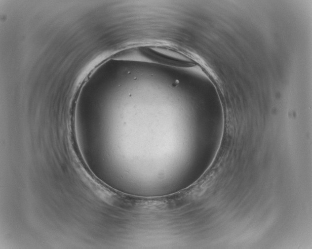 X0000076301187200609291028