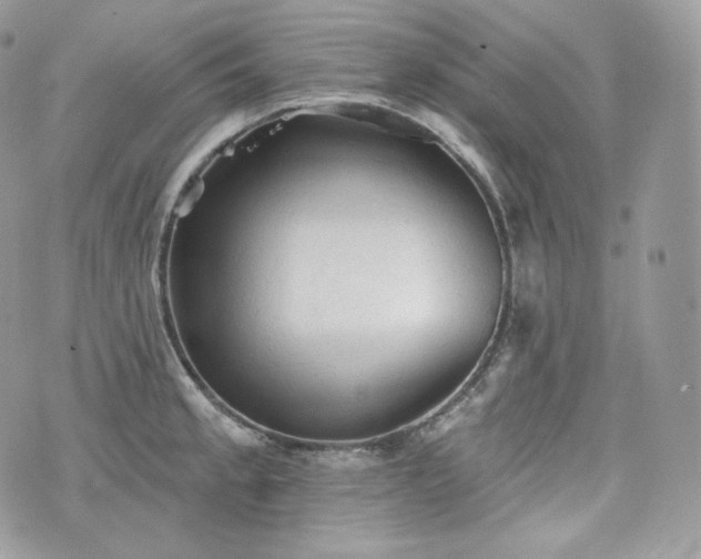 X0000076301189200609291028