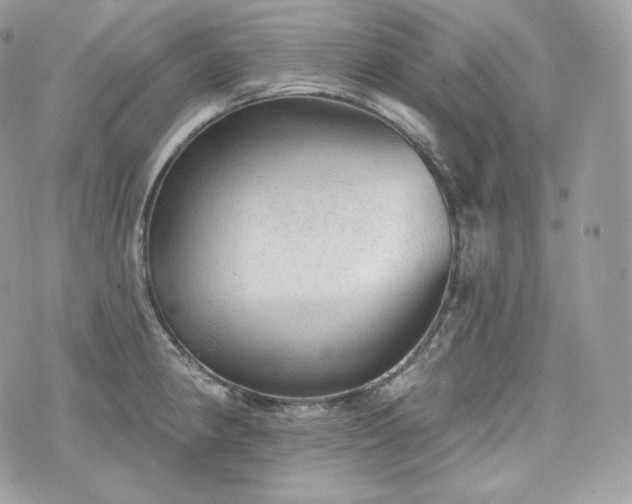 X0000076301190200609291028