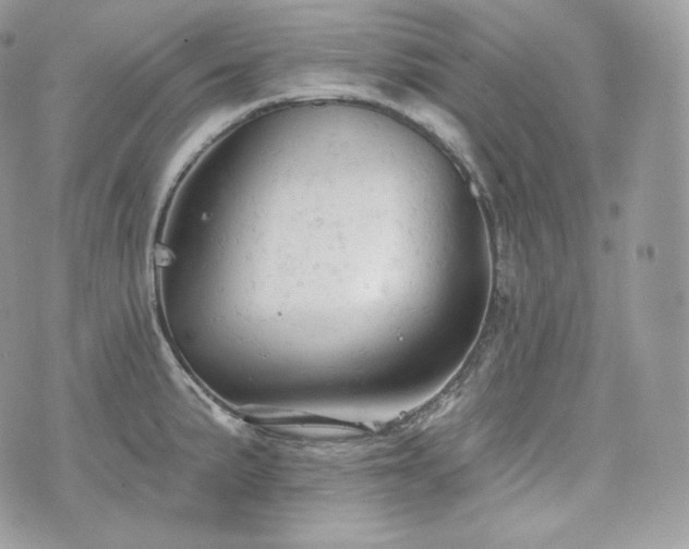 X0000076301191200609291028