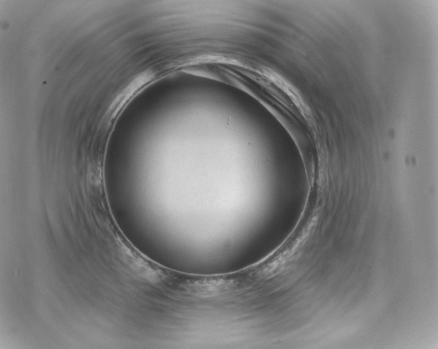 X0000076301193200609291028