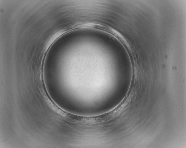 X0000076301194200609291028