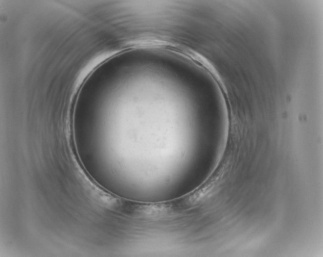 X0000076301195200609291028