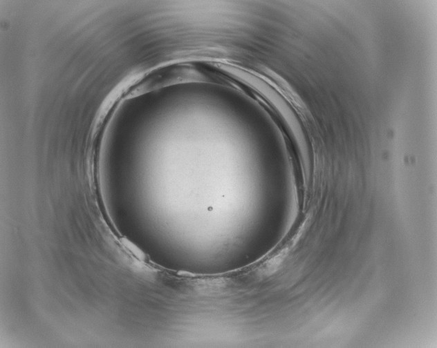 X0000076301196200609291028