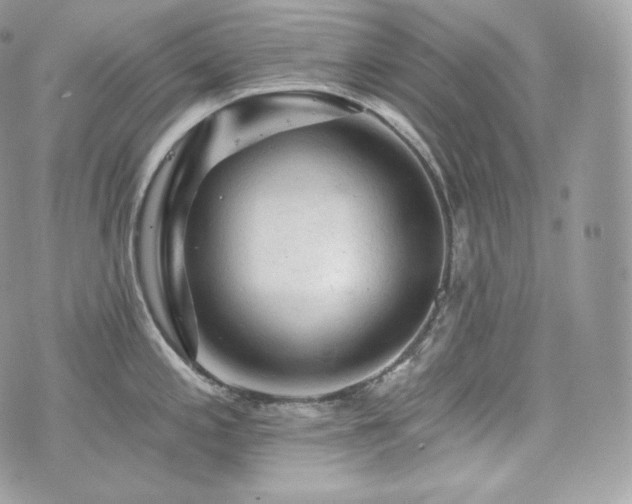 X0000076301197200609291028