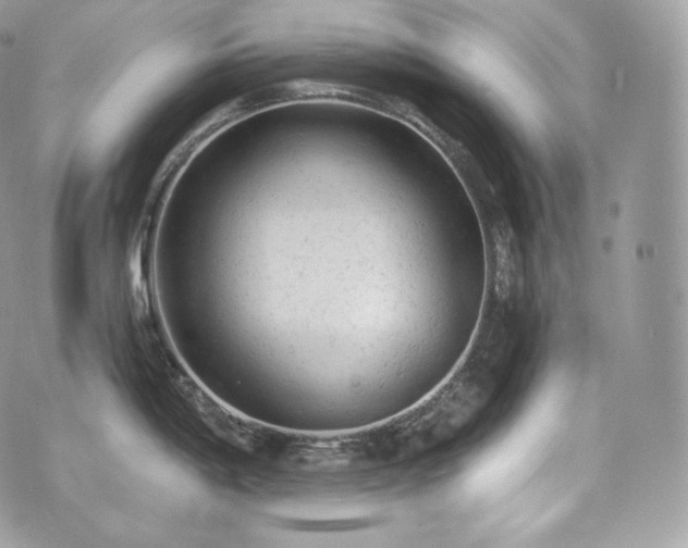 X0000076301198200609291027