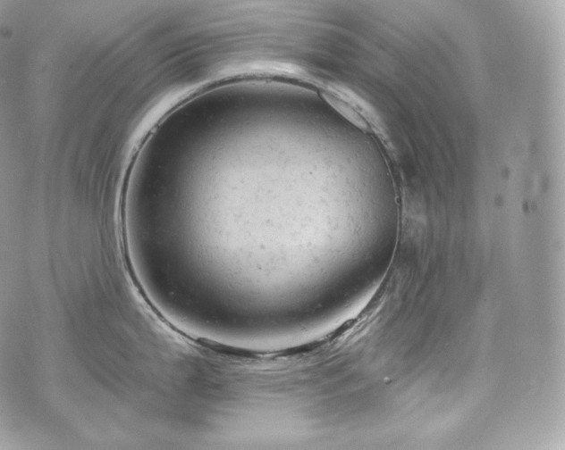 X0000076301199200609291027