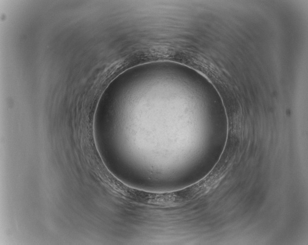 X0000076301201200609291027