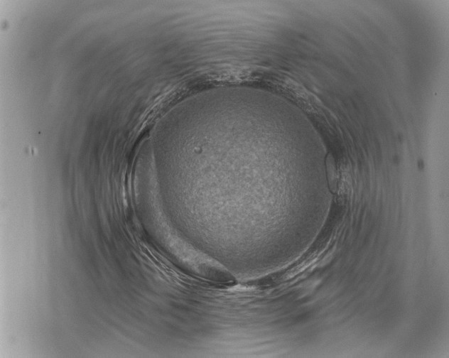 X0000076301202200609291027