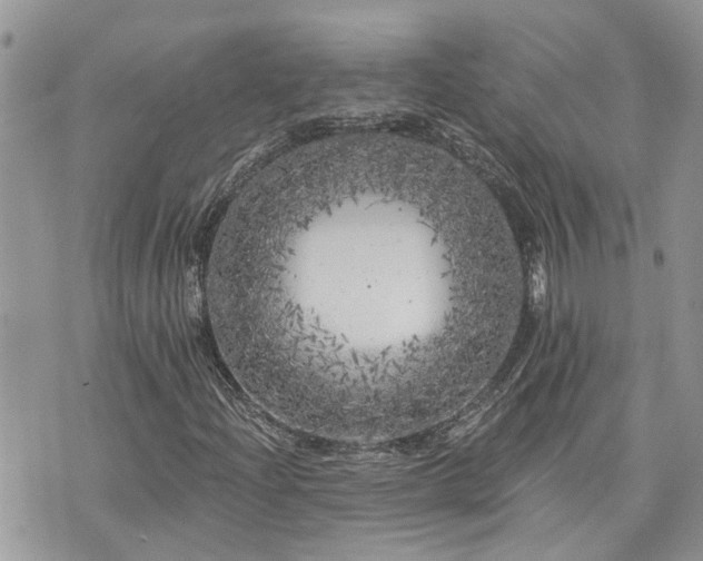 X0000076301204200609291027