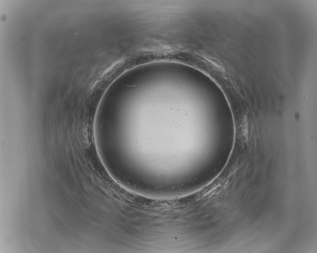 X0000076301205200609291027