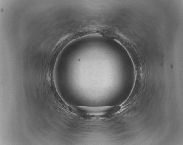 X0000076301206200609291027